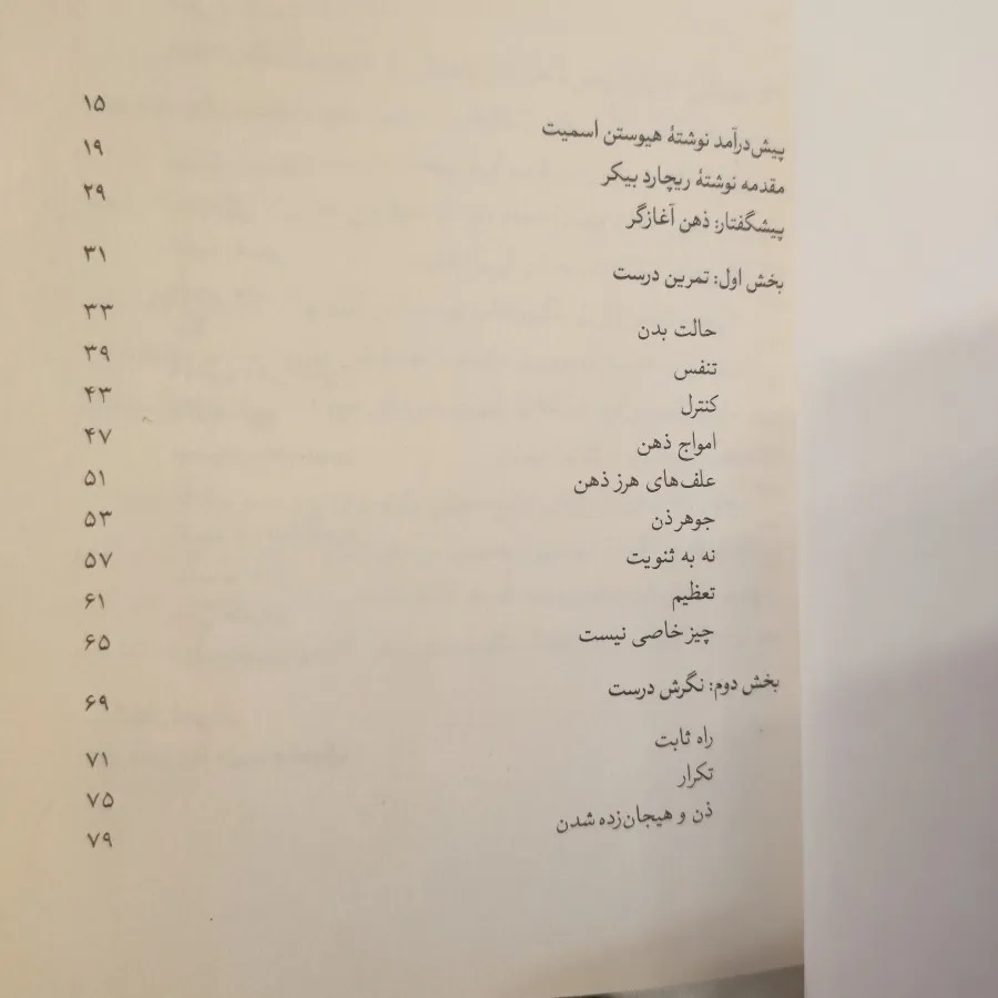 ذهن ذن، ذهن آغازگر