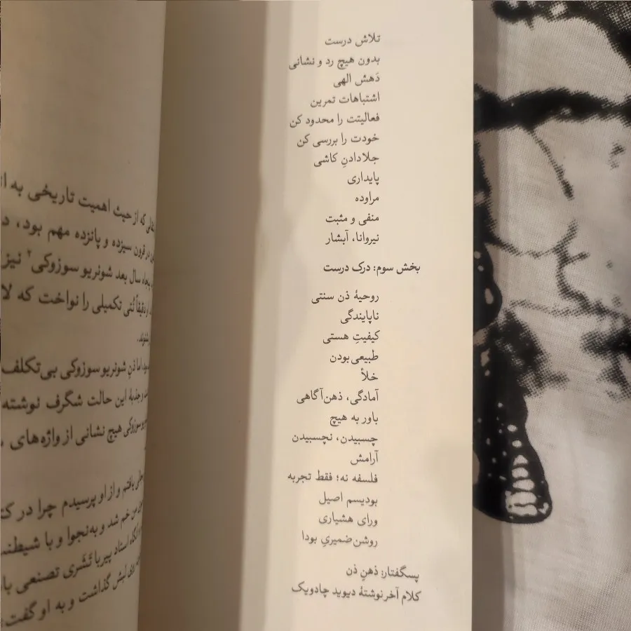 ذهن ذن، ذهن آغازگر