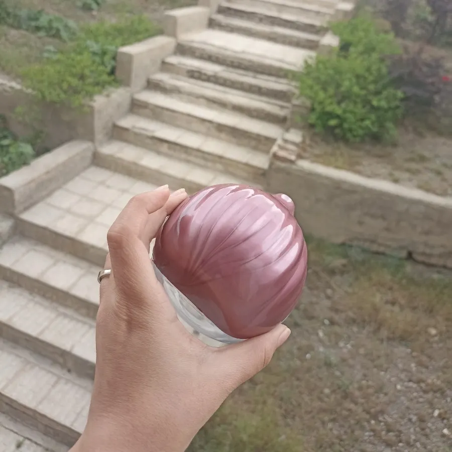ظرف نگهدارنده