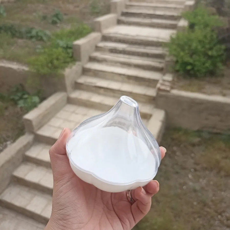 ظرف نگهدارنده