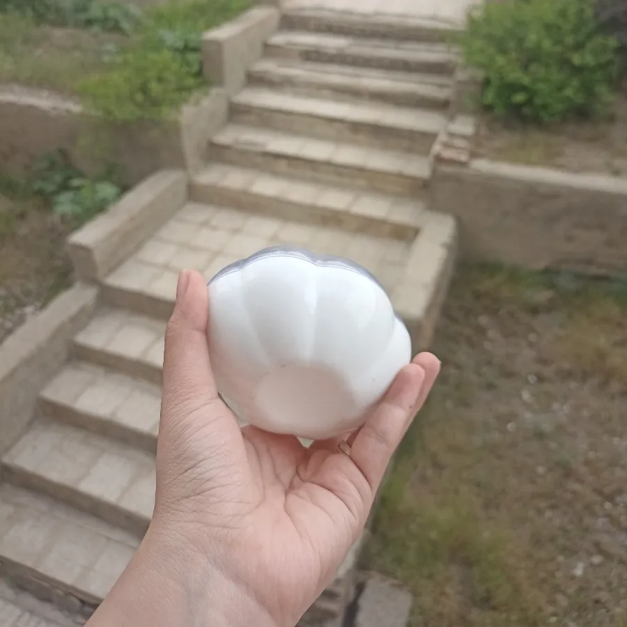 ظرف نگهدارنده