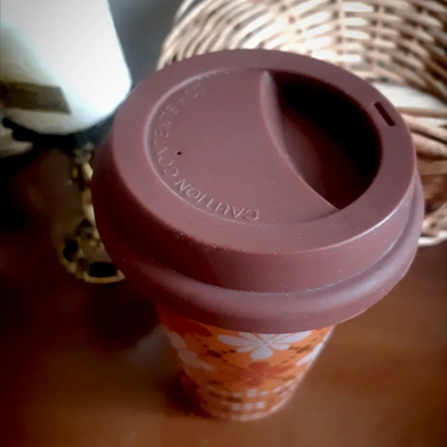 ظرف سفری