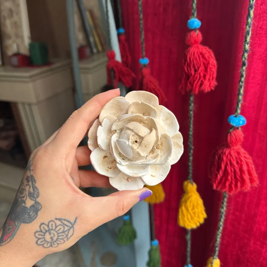 جاعودی