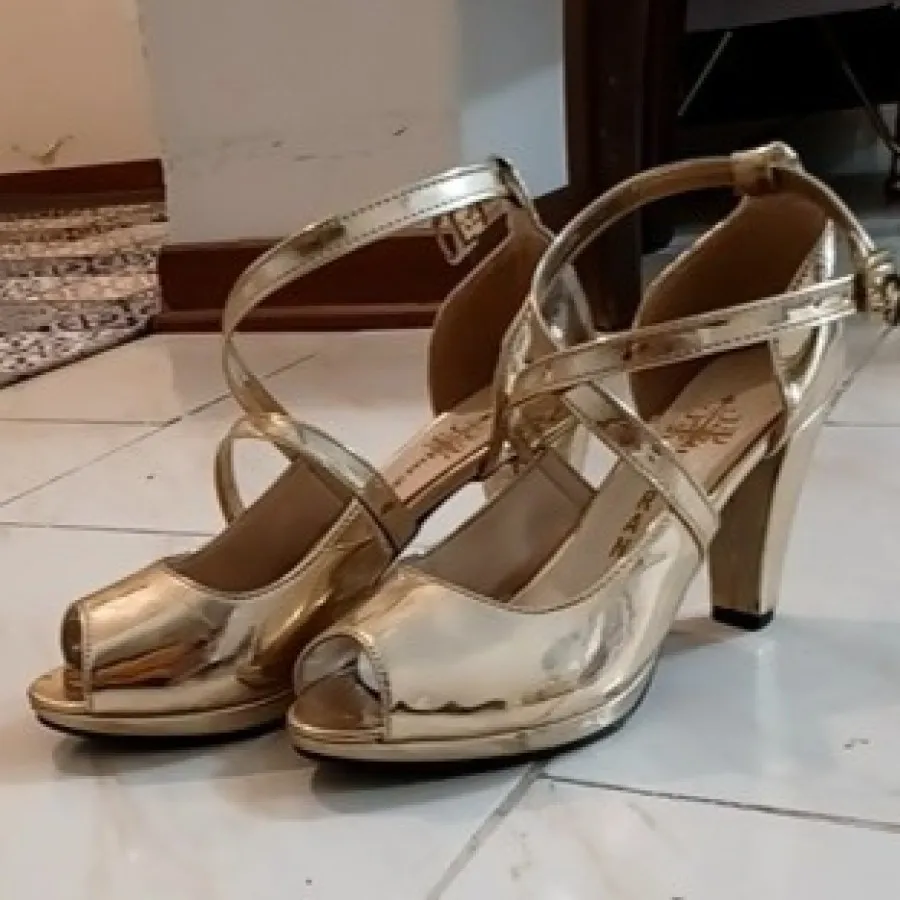 کفش مجلسی