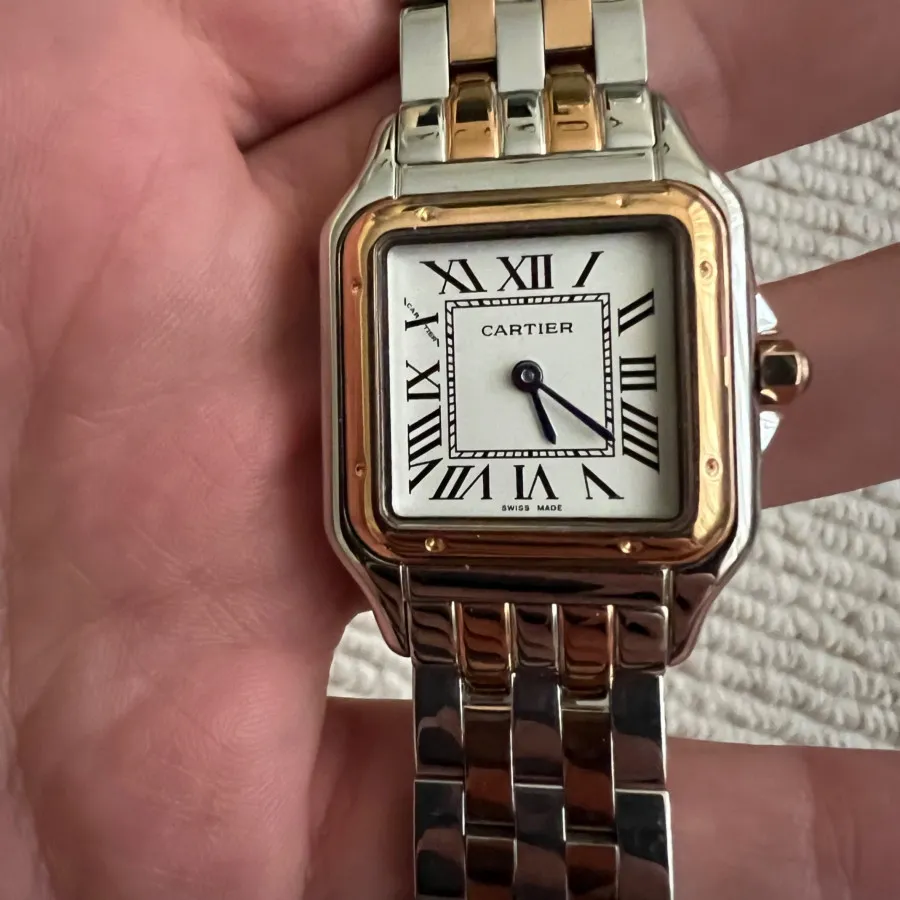 Cartier panther