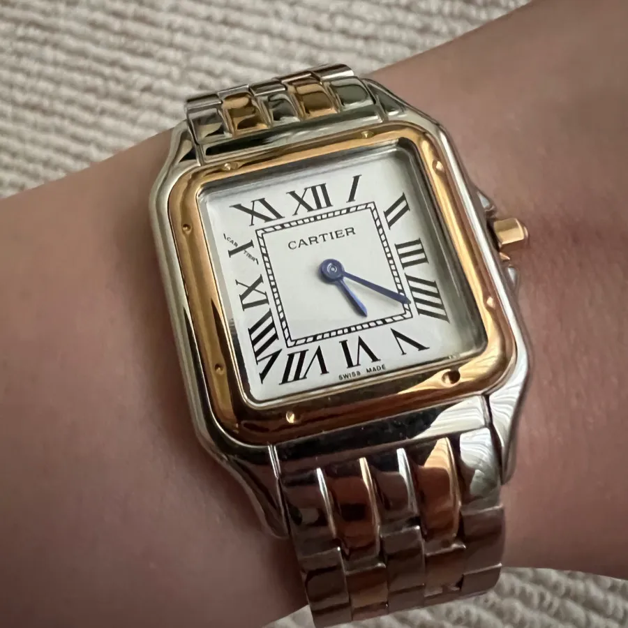 Cartier panther