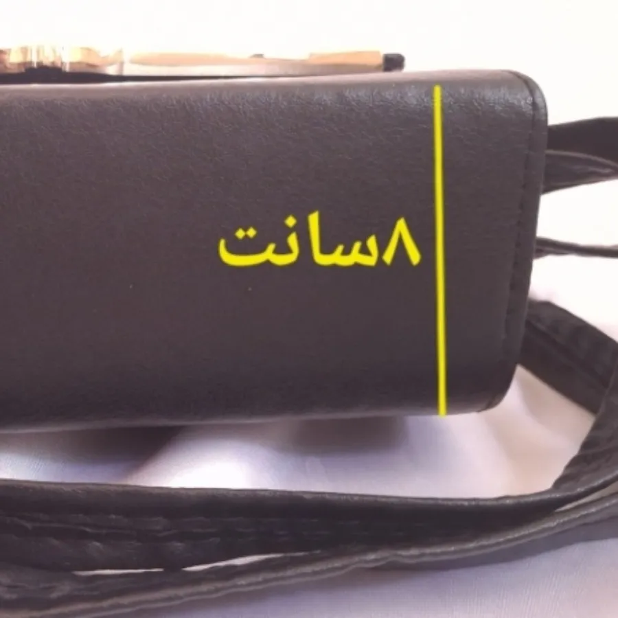 کیف مجلسی