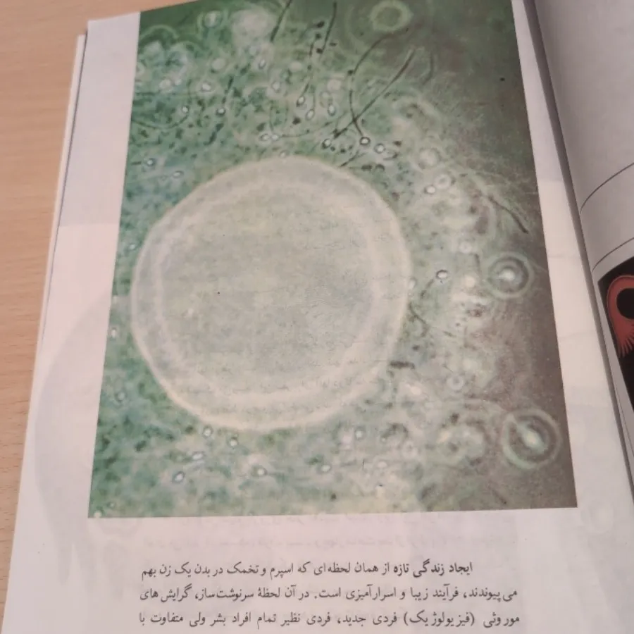 کتاب اطلس تولد