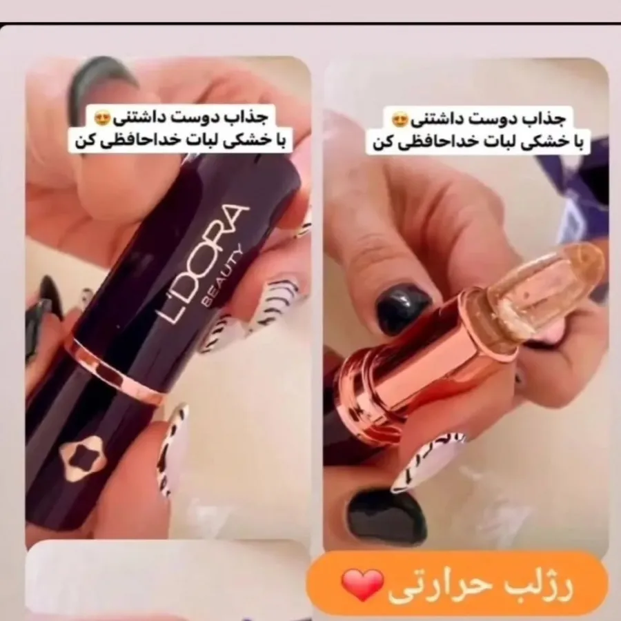 بالم لب ال پی 10