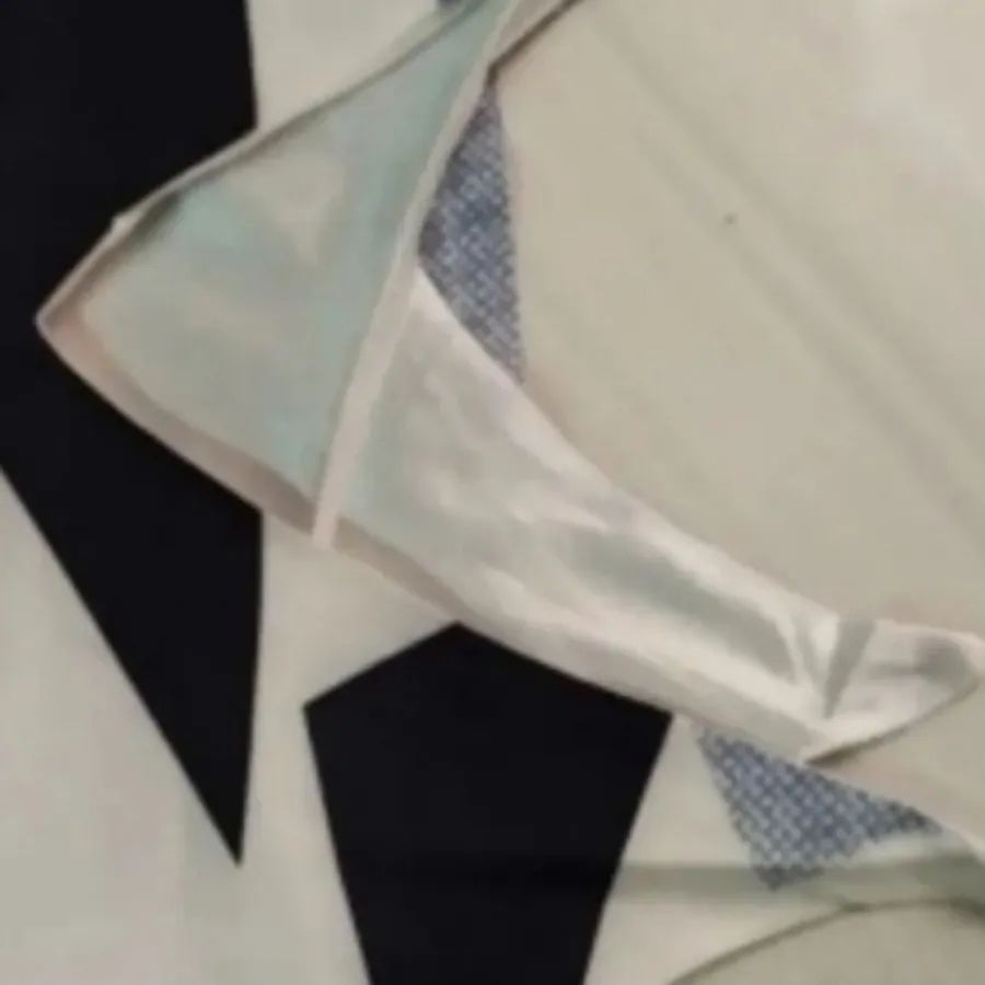 تاپ مجلسی