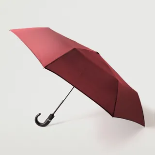 چتر زرشکی منگو