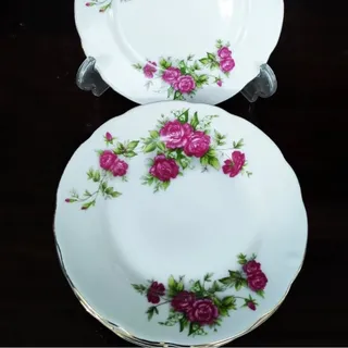 پیشدستی گلسرخی ارکید