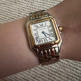 Cartier panther