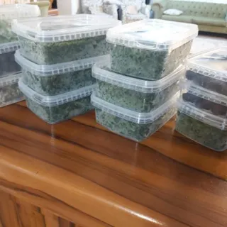 ظروف نظم دهنده