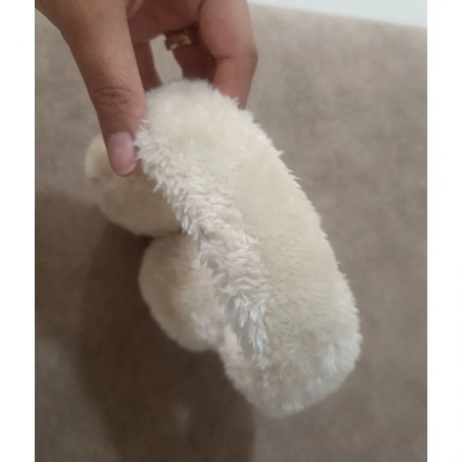 روسری گوشگیر