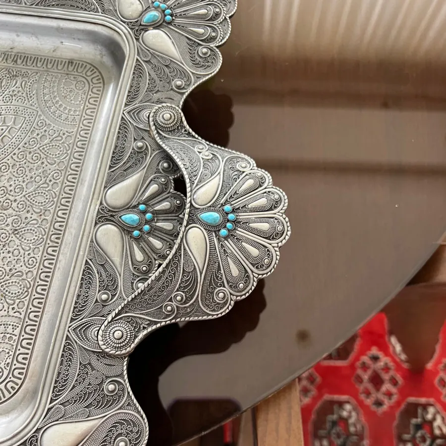 سینی  سیلور پزیرایی