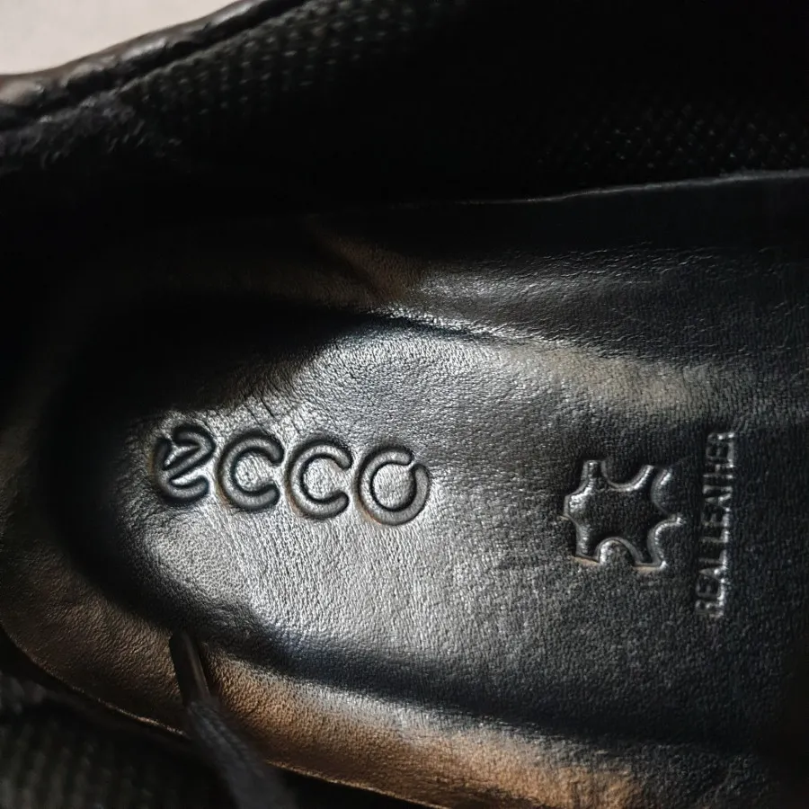 کفش زنانه اکو eccoدانمارک