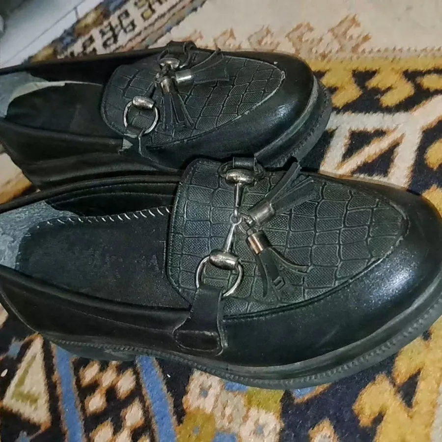 کفش مجلسی