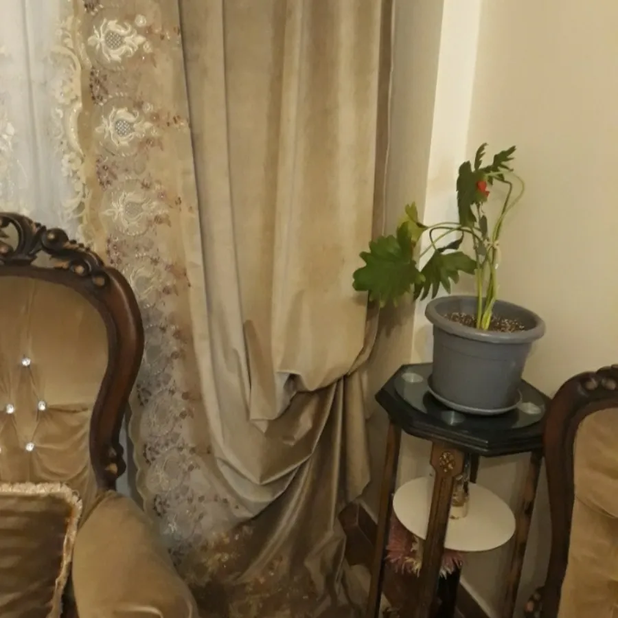 دوتا والان پرده ترک
