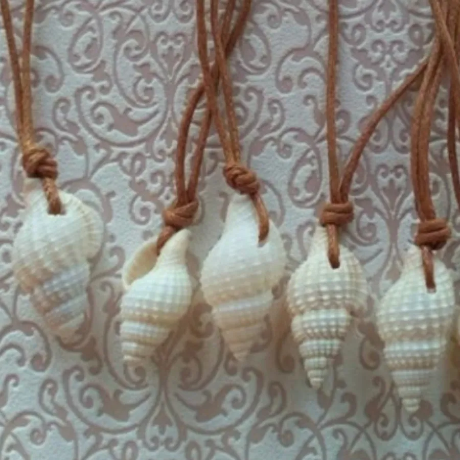 اکسسوری صدف طبیعی