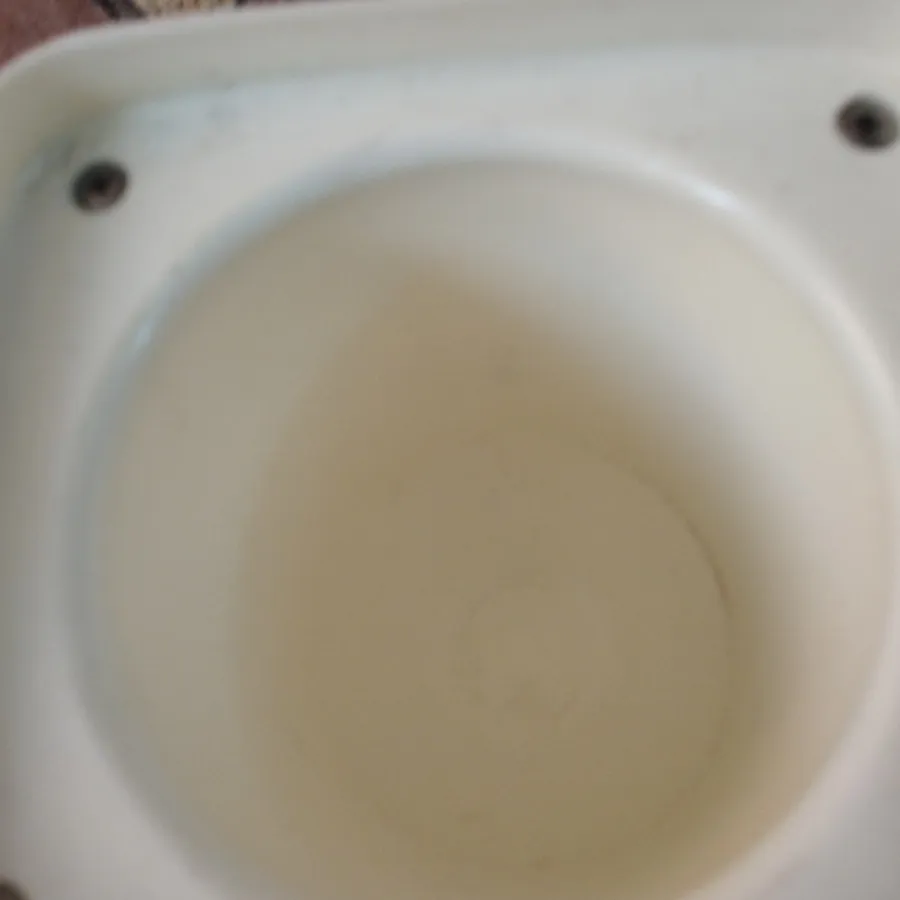 طرف غذا ژاپنی
