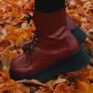 بوت