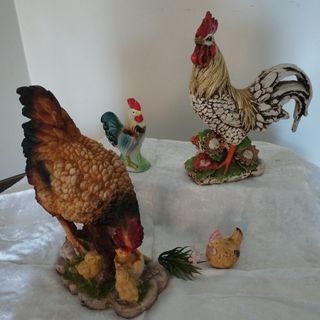 دکوری مرغ و خروس