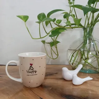 ماگ سرامیکی وارداتی هپی