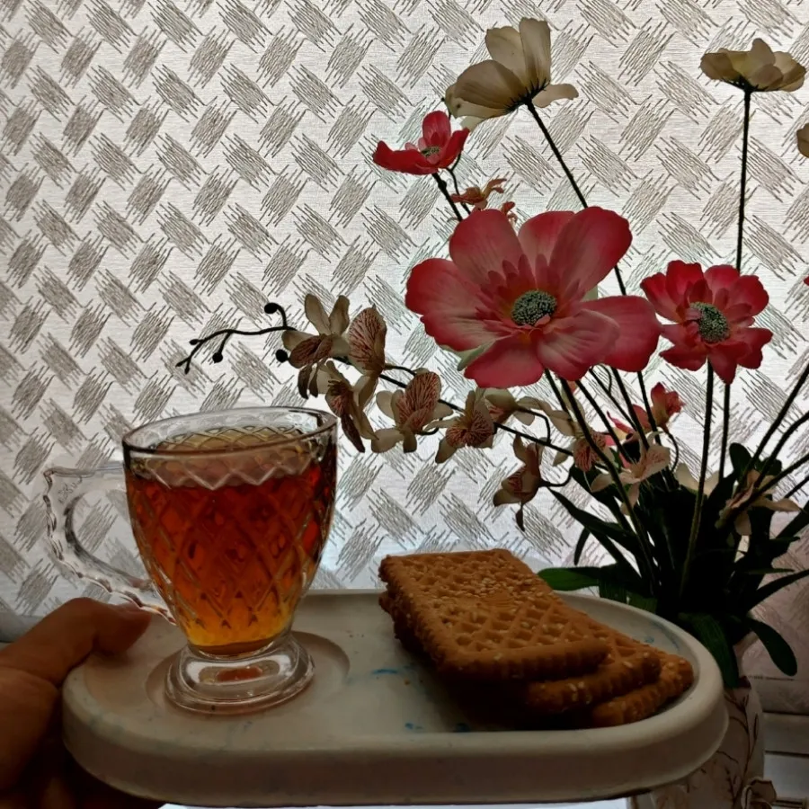 سینی پذیرایی