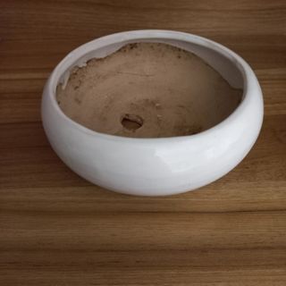 گلدان سفید