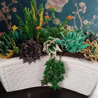 دکوری باغچه کاکتوس