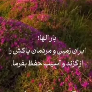 سلامتی