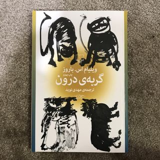 گربه ی درون